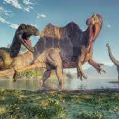 Timeline: LA HISTORIA DEL PLANETA