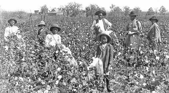 Le cause della guerra civile