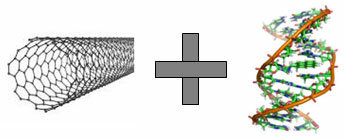 Углеродная трубка с ДНК.