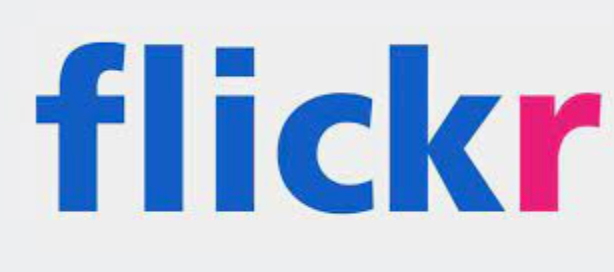Flickr and Digg began