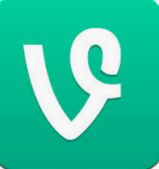 Vine