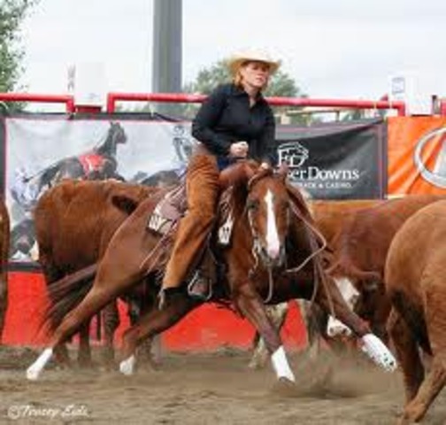 Greatest Horseman Contest