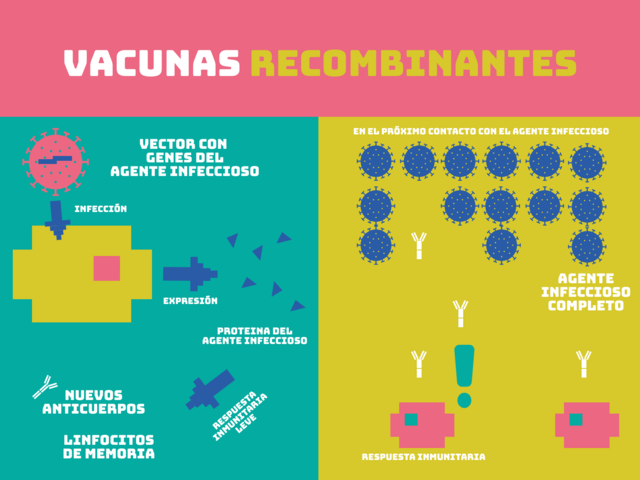 Fuentes Primera Vacuna Recombinante.