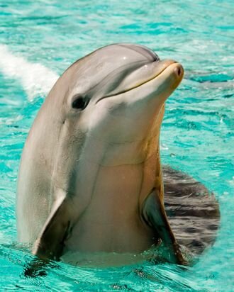 First trip to Florida