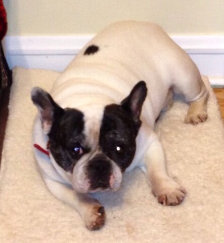 Emotion- Freddie Passed