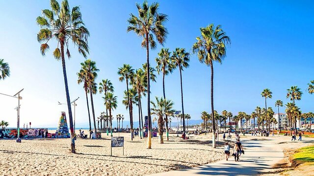 Los Angeles Vacation