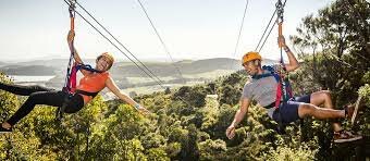 Went ziplining (risk taker)