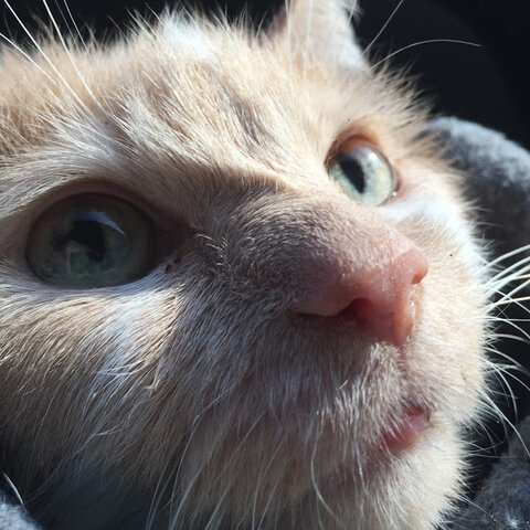 Losing Pretty Girl...