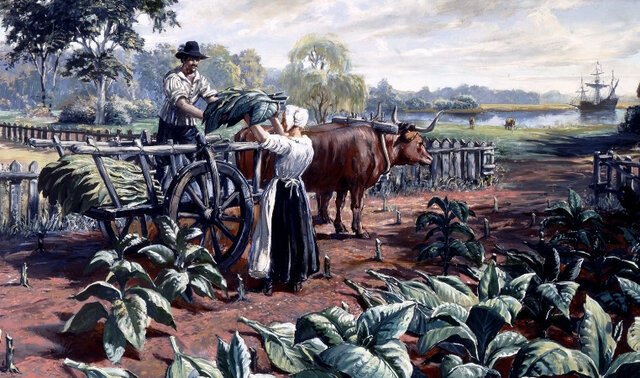 Discovery of Tobacco