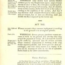 Virginia's Hereditary Slave Law Passed