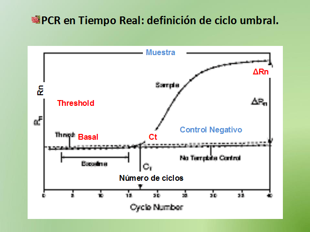 Fuentes Q-PCR