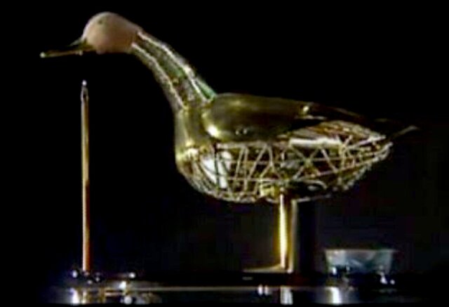 pato con aparato digestivo