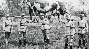 PRIMERA GUERRA MUNDIAL - RELACION CON LA AGROINDUSTRIA