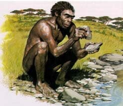 Homo habilis  2.300.000 a. C
