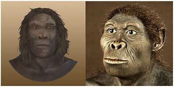Homo habilis 2.300.000 a. C