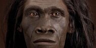 Homo erectus 1.900.000 a.C