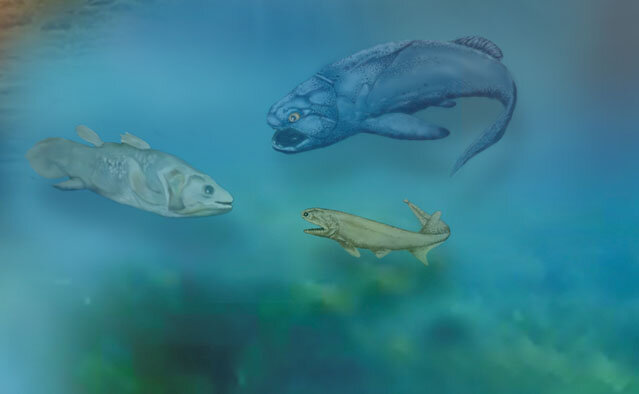 Age of the fish- 21:37