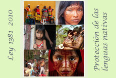 Ley 1381 de 2010; Lenguas nativas