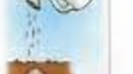 Timeline: Τα στάδια ανάπτυξης του φυτού