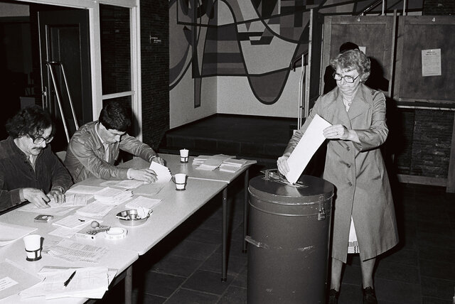 First European Elections