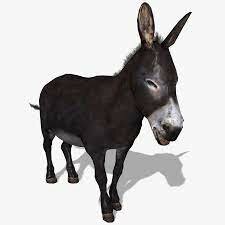 democratic party founded