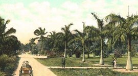 Timeline: Coconut Grove History Timeline