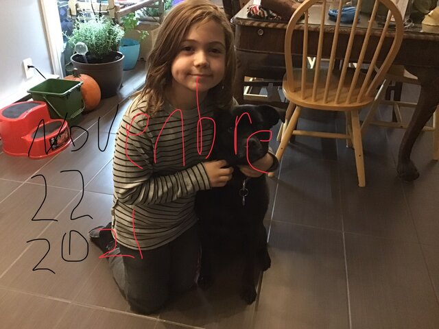 Le meilleur ami de l'homme