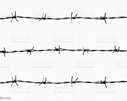 Patent on Barbed Wire