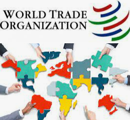Organización Mundial del Comercio (OMC)