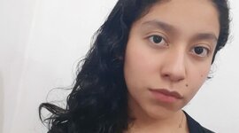 Timeline: Línea de vida