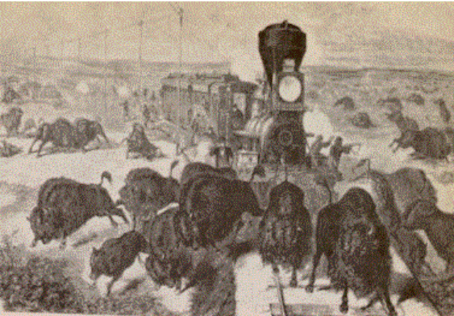 Transcontinental Railroad Completed