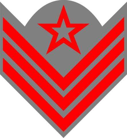 Appointed to Ordnance Sergeant