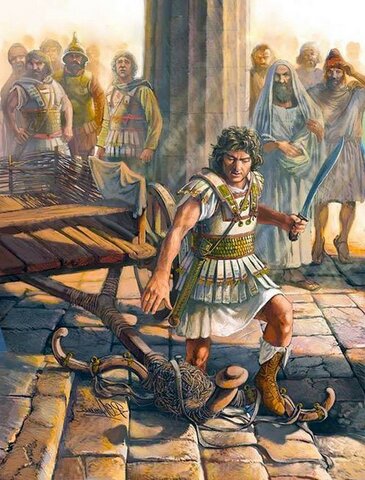 Nudo del yudo del carro de midas.