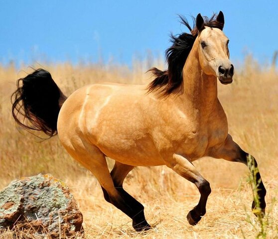 Guanyo 2 cops la lliga gironina.