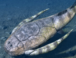 Ordovician period