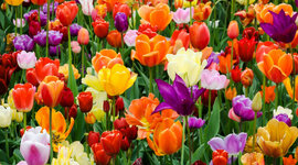 Timeline: Personal Identity Timeline