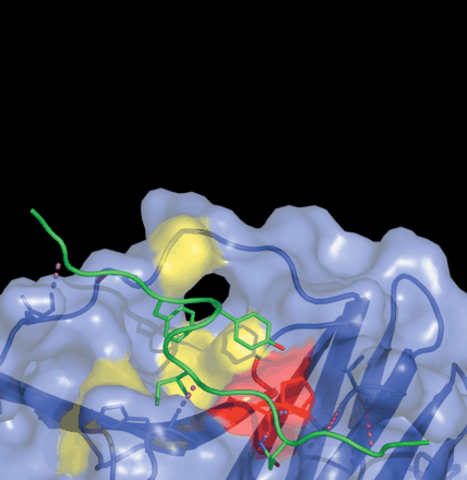 Sir Paul Nurse and CDK