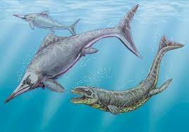 21:37 Age of the fish