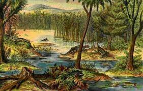 21:48 First terrestrial plants (gymnosperms)