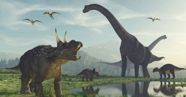 Age of the reptiles 22:43 h