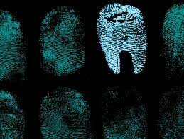 Teeth Identification