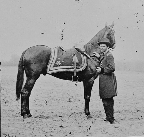 Charles Cummings horse killed