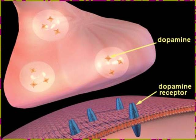 Carlsson and Dopamine