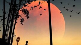 Timeline: Моё развитие