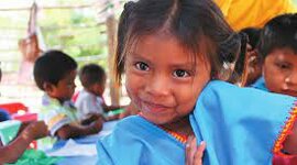 Timeline: EDUCACIÓN INTERCULTURAL EN COLOMBIA