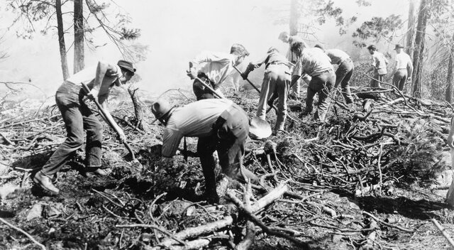 Se declaran honestas todas las profesiones
