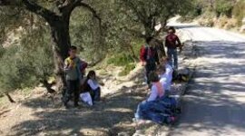 Timeline: Integrating refugees_ACTION PLAN