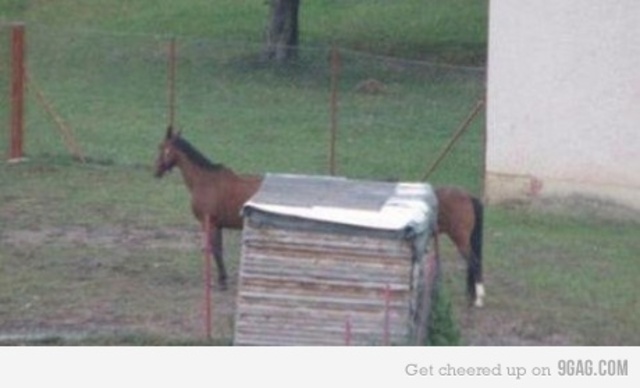 23 mai - Itaalia kuulutas Austria-Ungarile sõja