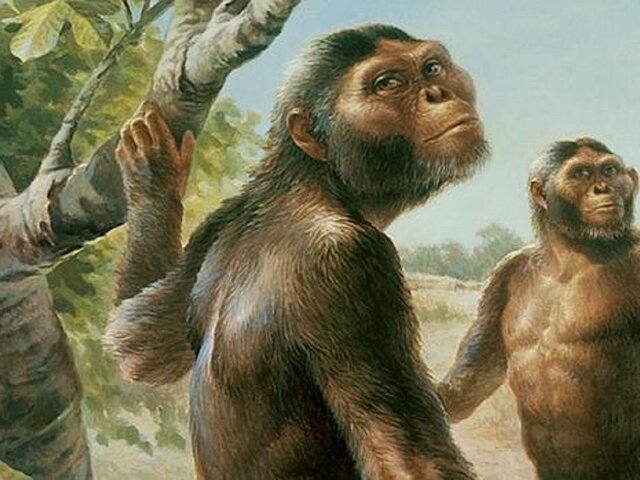 1st hominids→ 23:53 h