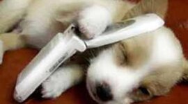 Timeline: Historia del teléfono móvil.